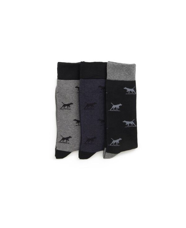 ロッドアンドグン メンズ アンダーウェア 靴下 Rodd Gunn Mens DogsAPlenty Three Pack Socks Work Multi マルチカラー