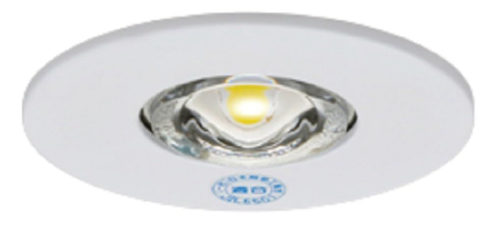 新着商品 東芝ライテック 電源別置形非常用照明器具 LED非常灯専用形電源別置形 LEDDM50101