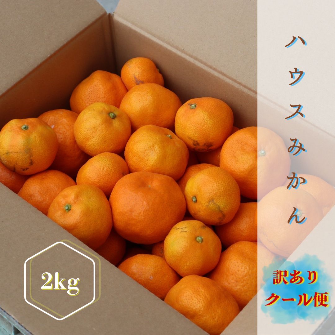 訳あり‼️クール便‼️】唐津産 初物ハウスみかん 家庭用2kg - メルカリ