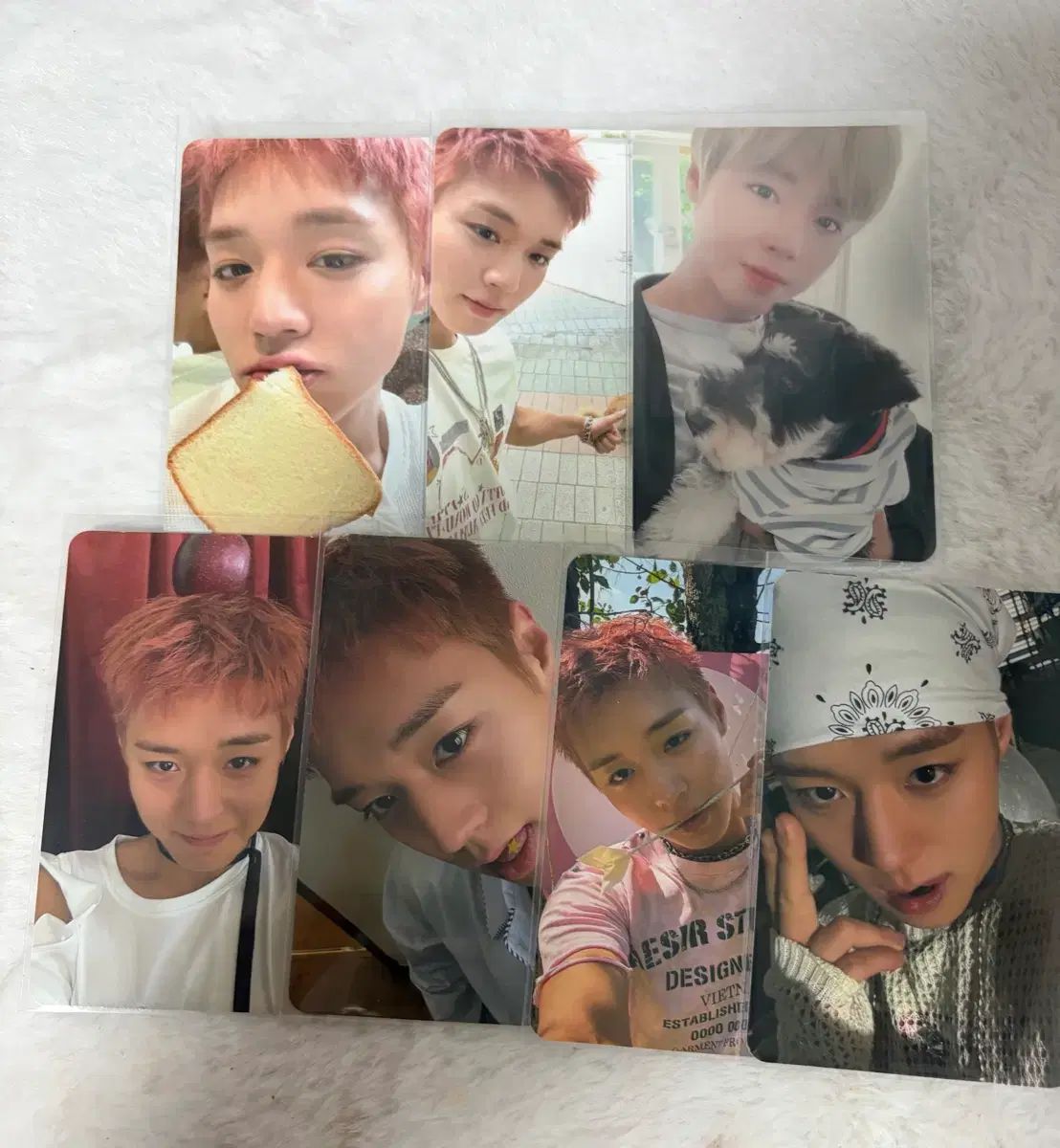 パクジフン POPUP WINTER STORE シーグリ トレカ パク・ジフン(PARK JIHOON) トレカ 出品 (2020 シーグリ シーズン