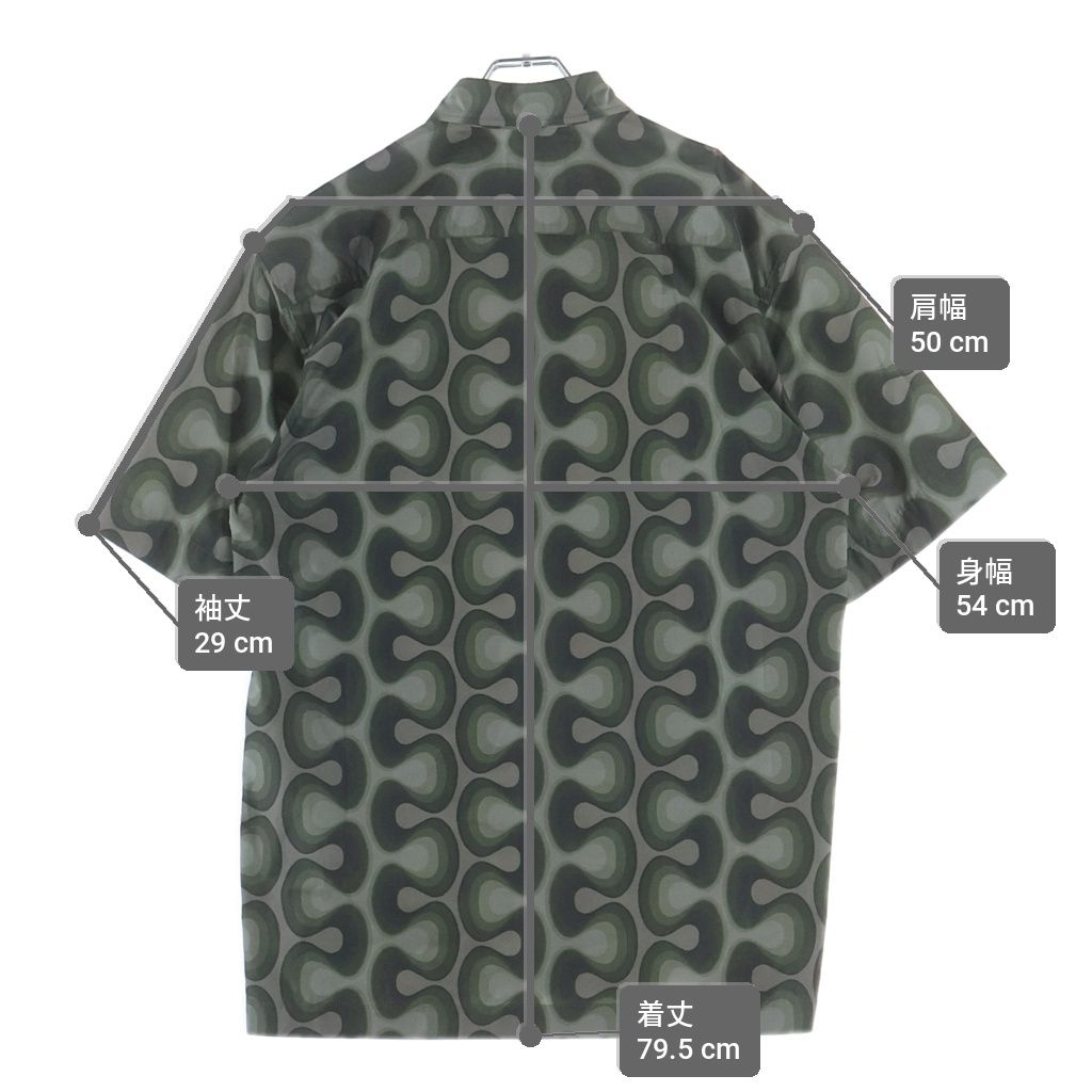 DRIES VAN NOTEN (ドリスヴァンノッテン) CASSIDYE 8027 M.W SHIRT