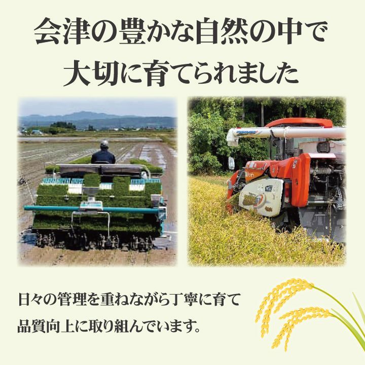 玄米 30kg】令和7年産 こがねもち もち米 30キロ 送料無料 - メルカリ