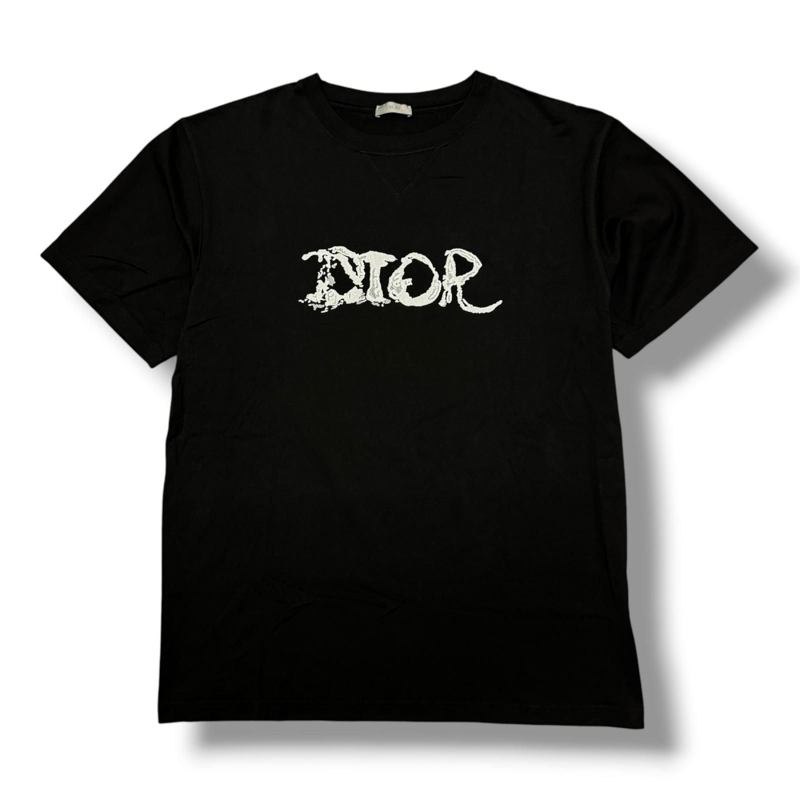 国内正規 Dior × Peter Doig 21AW Oversize T-shirt オーバーサイズT