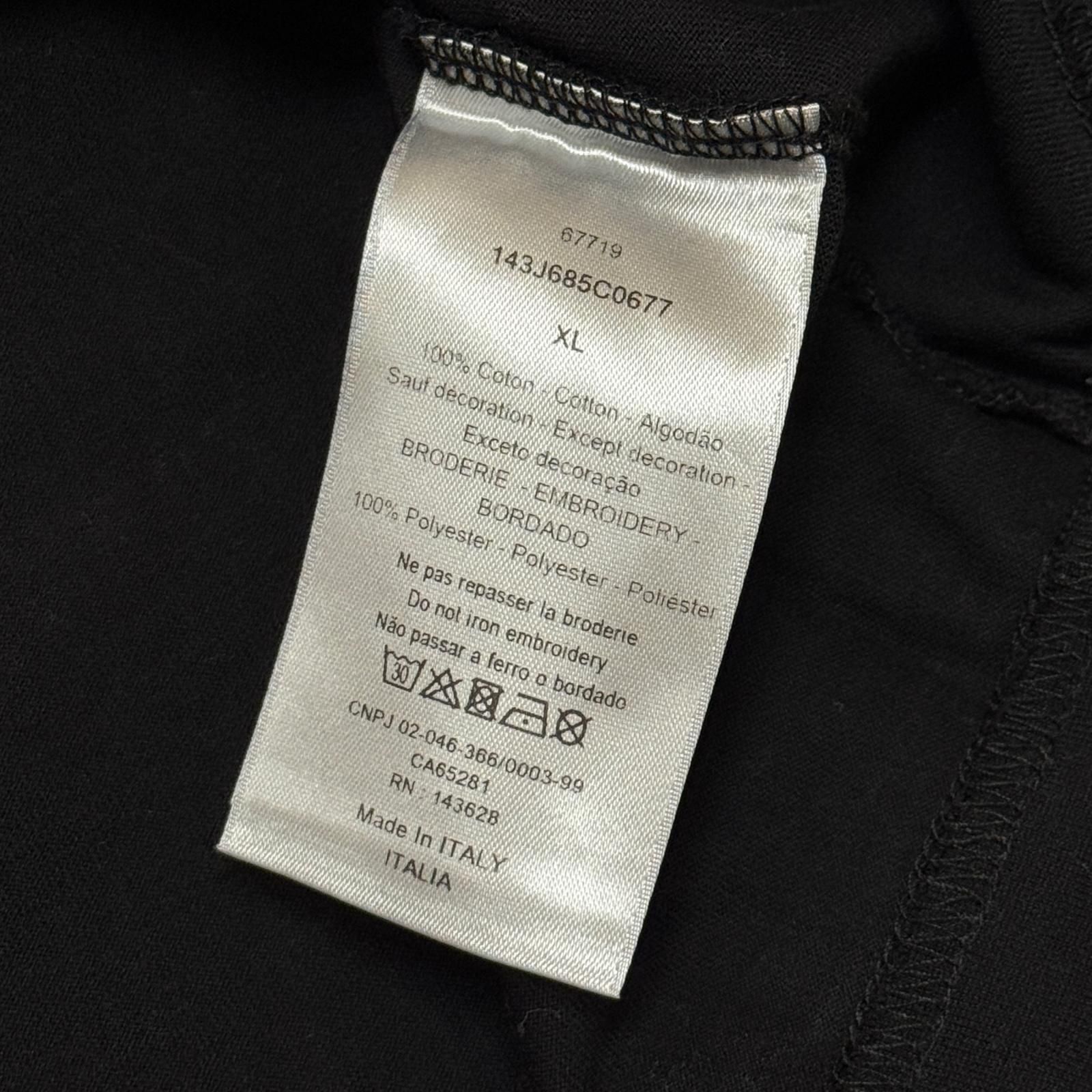 国内正規 Dior × Peter Doig 21AW Oversize T-shirt オーバーサイズT 