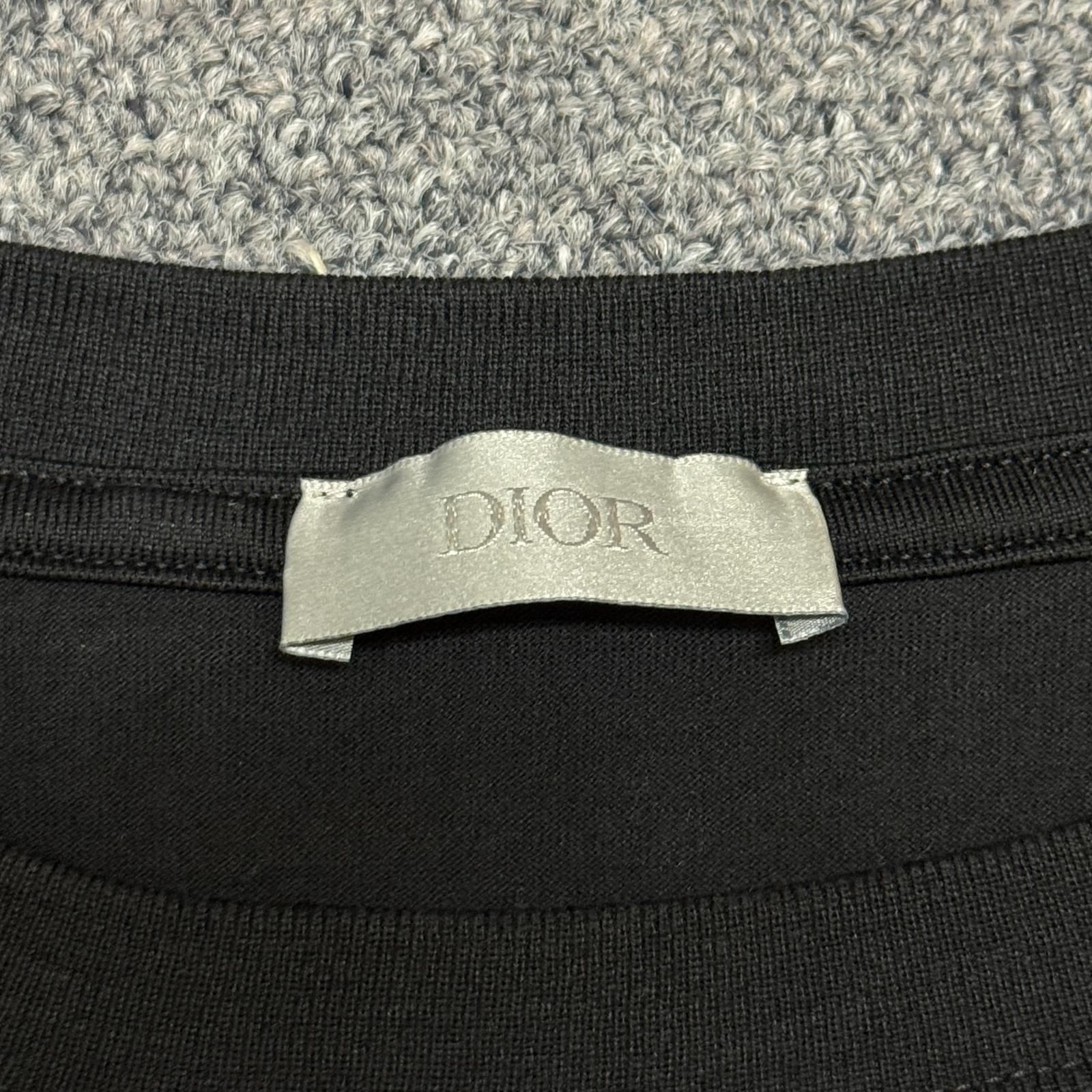 国内正規 Dior × Peter Doig 21AW Oversize T-shirt オーバーサイズT 