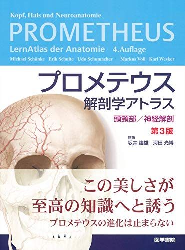プロメテウス解剖学アトラス 頭頸部/神経解剖 第3版／坂井 建雄 - メルカリ