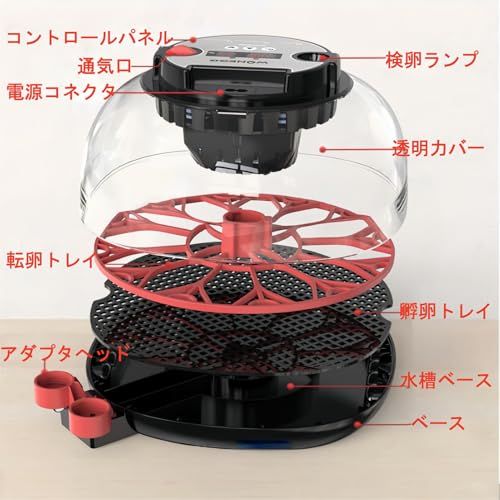 ☆新品☆自動孵卵器 インキュベーター 12卵 自動転卵/給水 デジタル