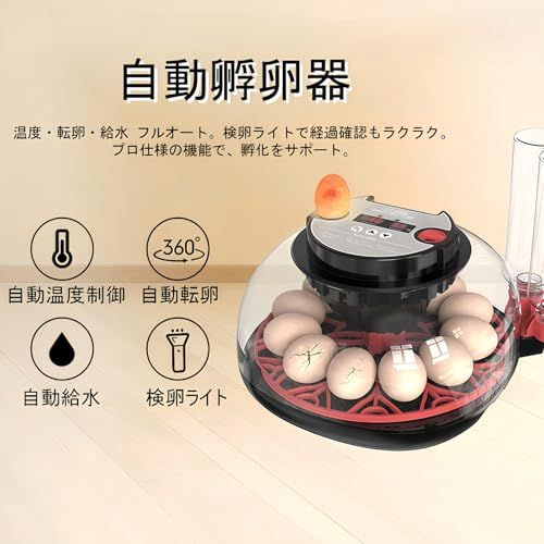 ☆新品☆自動孵卵器 インキュベーター 12卵 自動転卵/給水 デジタル