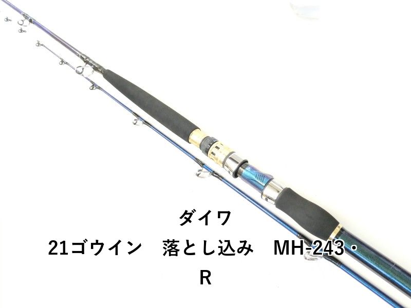 ダイワ 21ゴウイン　落とし込み　MH-243・R (02-9205110005)