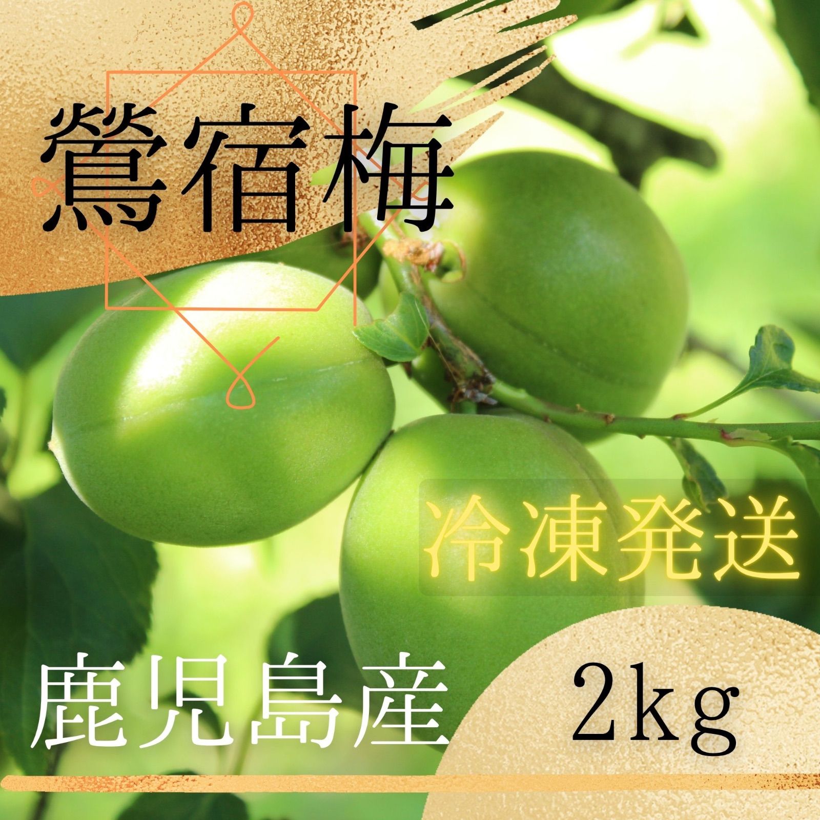【鶯宿梅】青梅 7キロ 鹿児島産 M〜L混合　冷蔵便　栽培期間中農薬不使用 冷凍梅】鶯宿梅 2kg 鹿児島産 訳あり 農薬不使用 - メルカリ