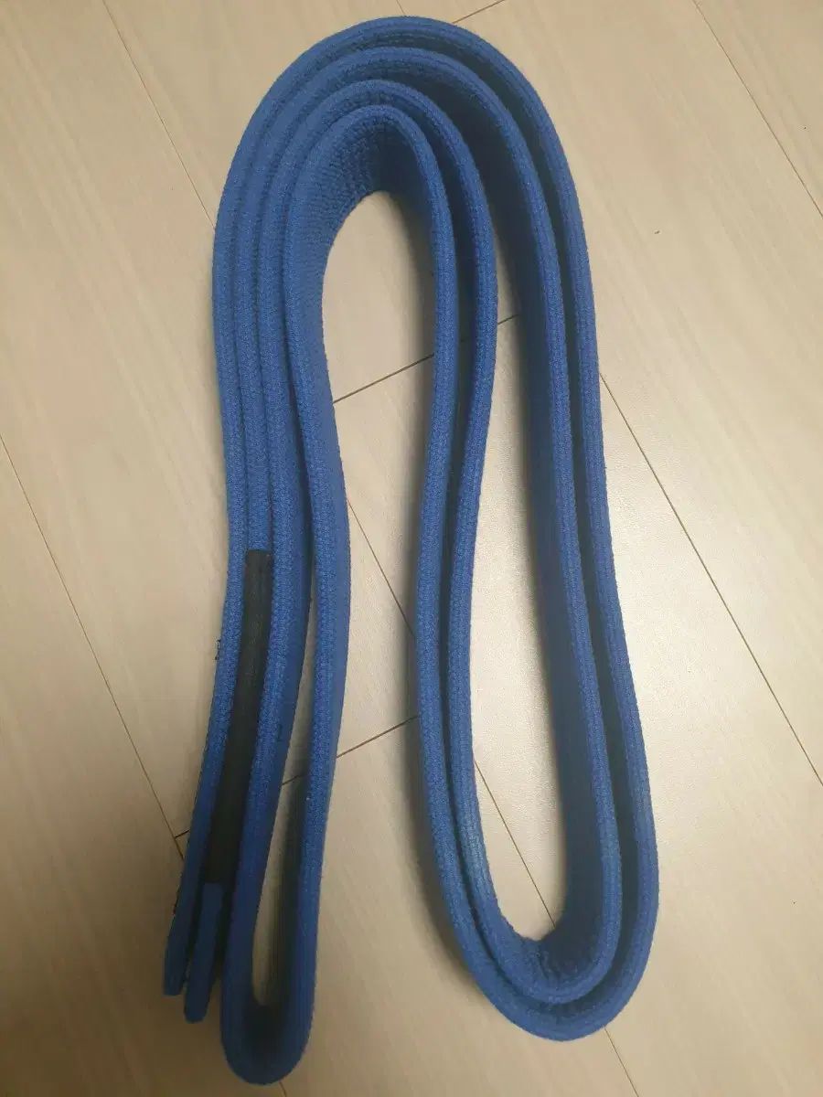 スパイダー ブルーベルト A3