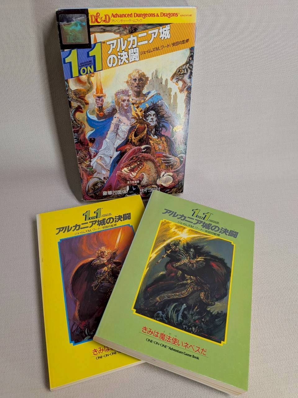 希少】アルカニア城の決闘 富士見書房 D&D ゲームブック 20面体 