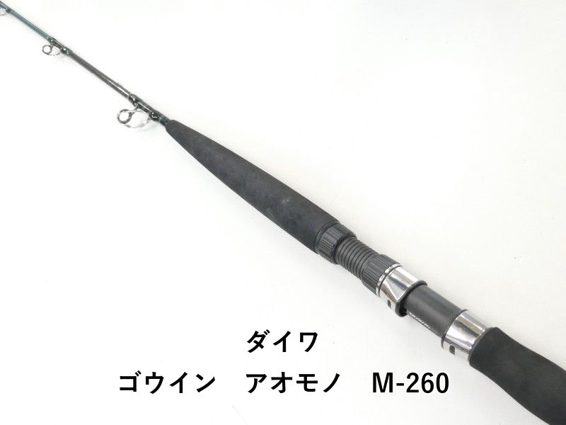 ダイワ ゴウイン アオモノ M-260 (02-9205110009)