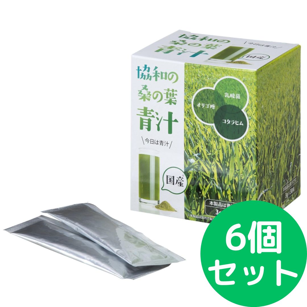 history HL-SV 3TS フジゲン製 CFS トラ杢 調整済