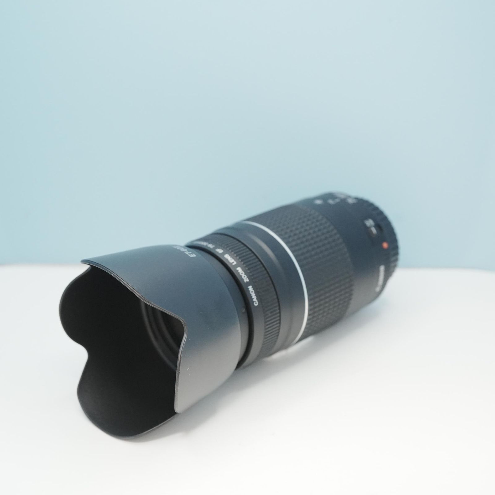 Canon純正 75-300mm EFマウント用 望遠レンズ 美品 a6668 - メルカリ