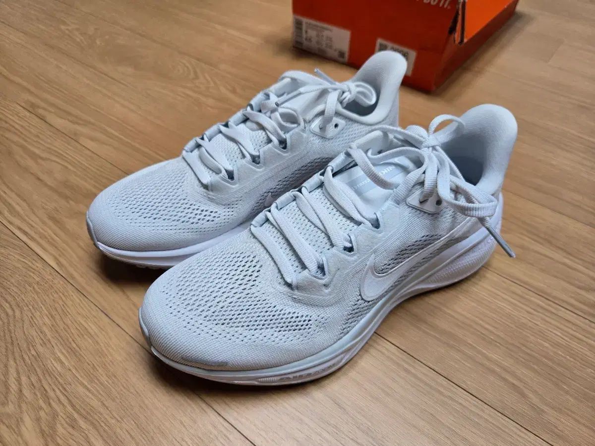 (新品 正規品) NIKE ペガサス シューズ FD2723-102 ランニングシューズ ランニングシューズ