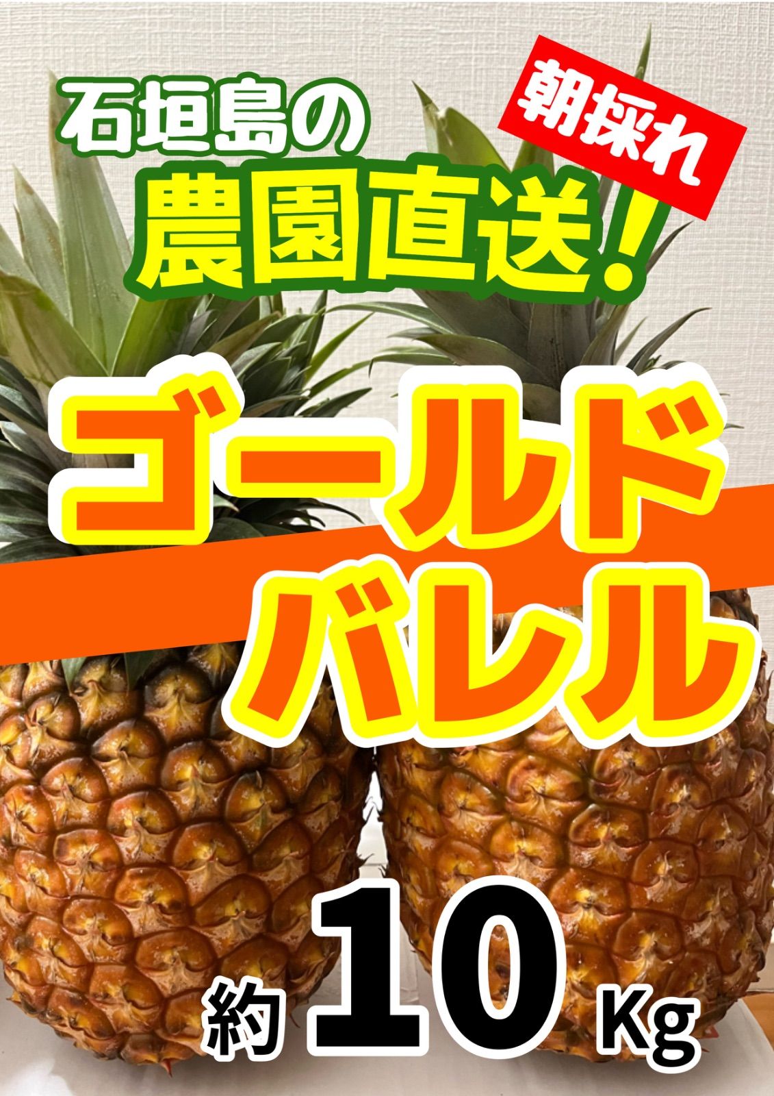 沖縄県石垣島産 ゴールドバレル約10kg 沖縄県石垣島産ゴールドバレル約10キロ - メルカリ