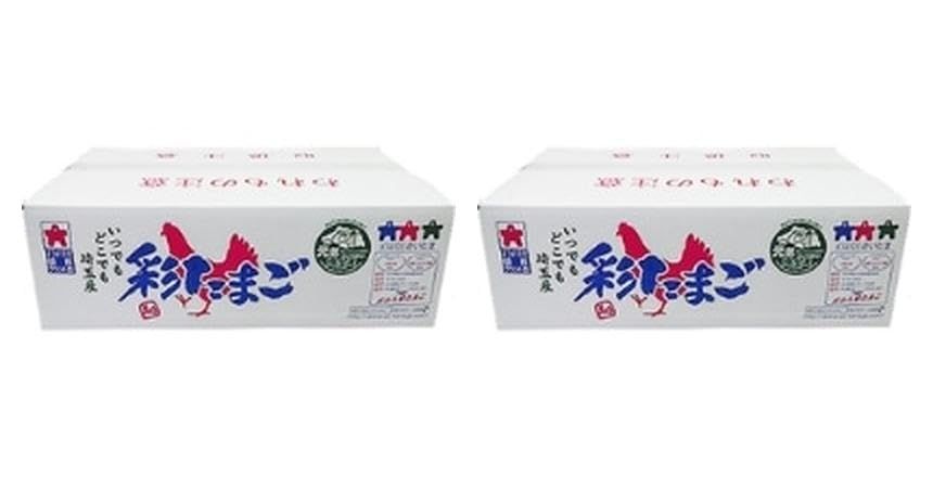 松本米穀精麦 彩たまご 白 L 5KG×2ケース 常温(まとめ買い)