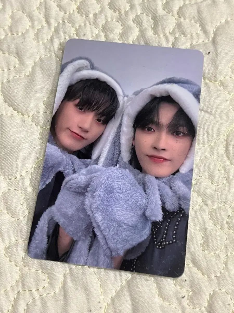 ATEEZ サン ホンジュン うさぎ ブランケット HALAZIA MAKESTAR