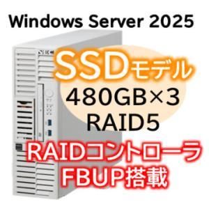 【新品・2営業日で発送】NEC 日本電気 Express5800／D／T110m-S Xeon 6315P 4C／16GB／SSD 480GB*3 RAID5 FBU／電源*2／W2025／タワー 3年保証(NP8100-3024YPYY)