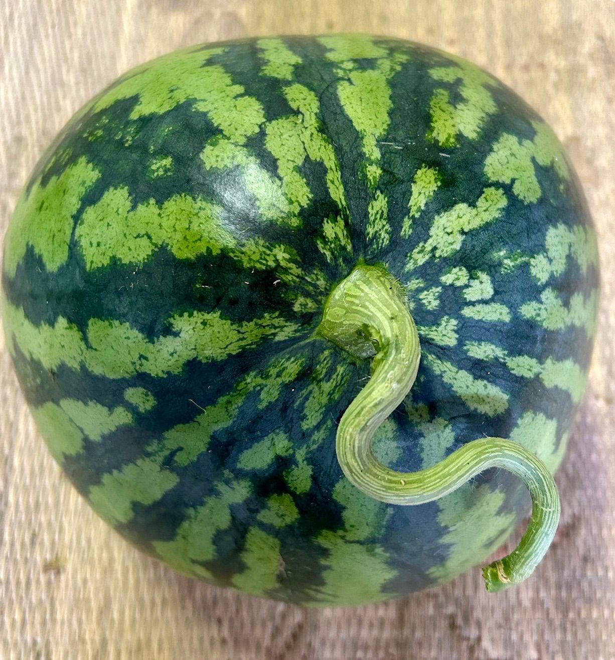 訳あり熊本県産 大玉スイカ 羅皇ザ・スウィート 7-8kg 2玉 - メルカリ