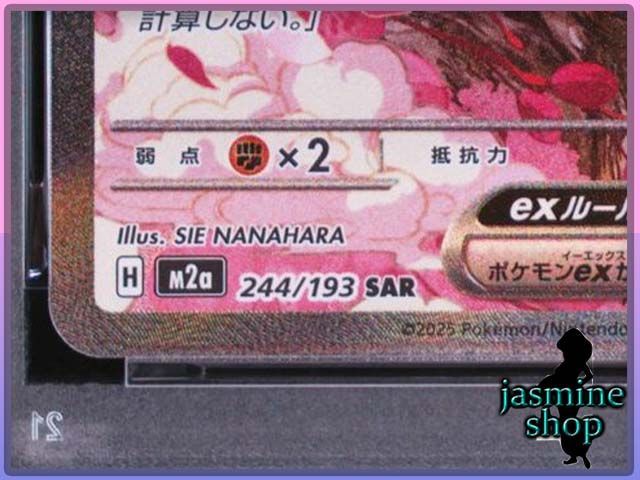 PSA10】キチキギスex SAR 244/193 MEGAドリームex PSAケース専用