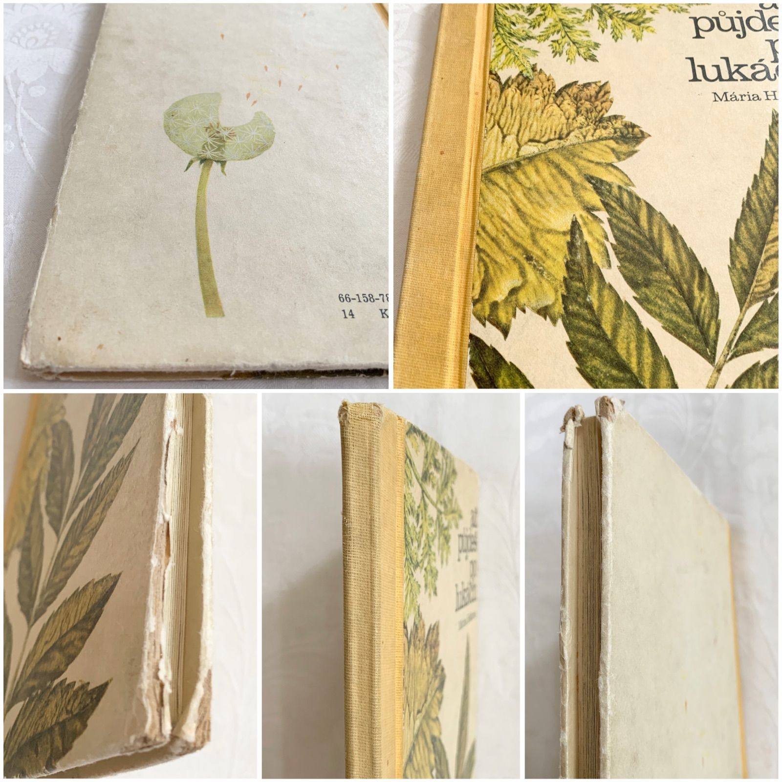1978年-チェコ語のビンテージ 花絵本- 野原の植物絵本/ビンテージ本