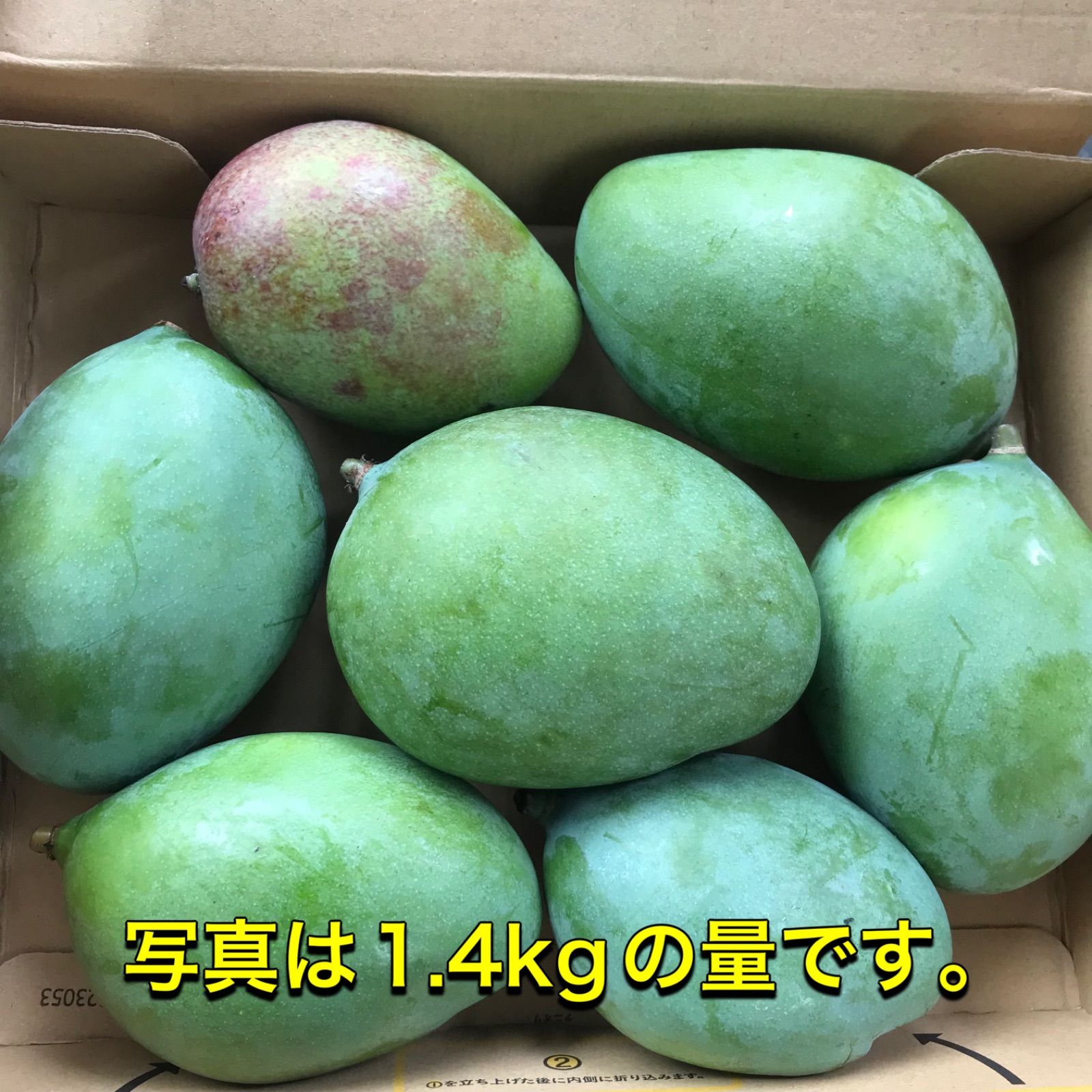 沖縄県産 摘果キーツマンゴー 約1.4kg｜青マンゴー グリーンマンゴー
