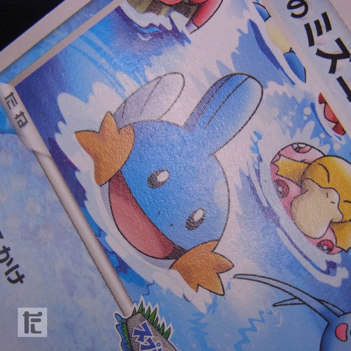 PROMO ポケパークのミズゴロウ 048/PCG-P / TA24667 - メルカリ