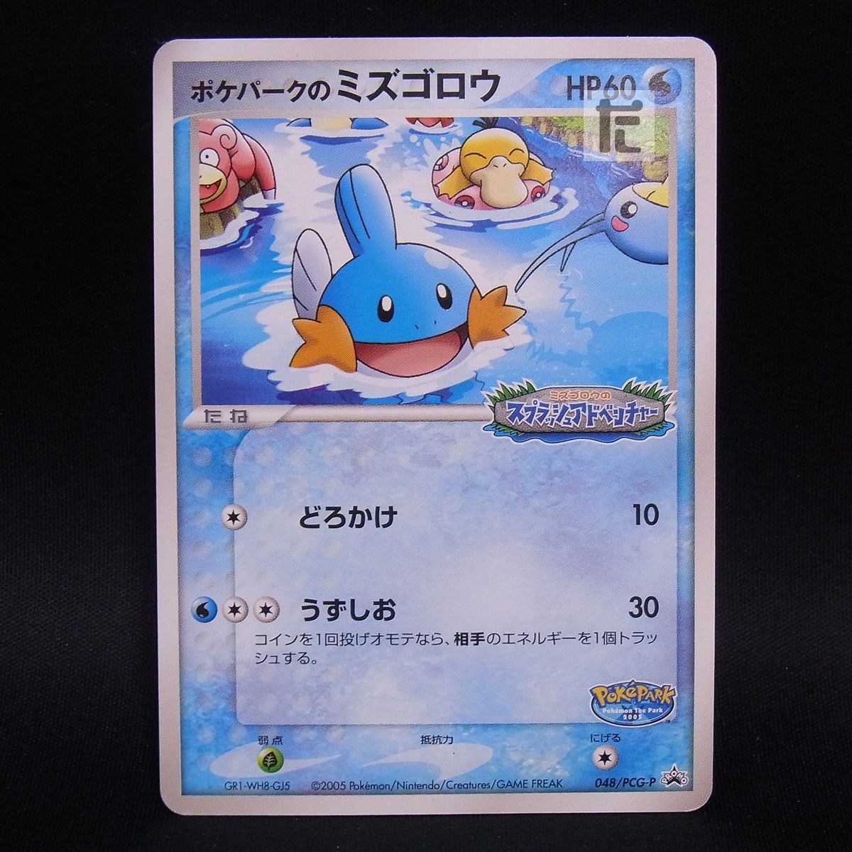 ポケパークのミズゴロウ PROMO PCG-Pプロモカード 048/PCG-P PROMO ポケパークのミズゴロウ 048/PCG-P / TA24667 - メルカリ