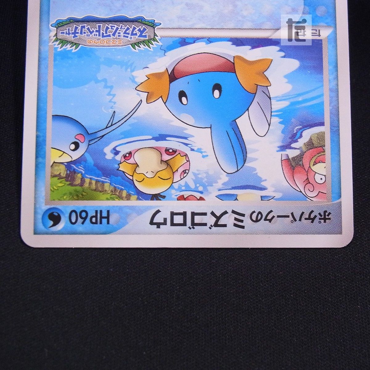 PROMO ポケパークのミズゴロウ 048/PCG-P / TA24667 - メルカリ