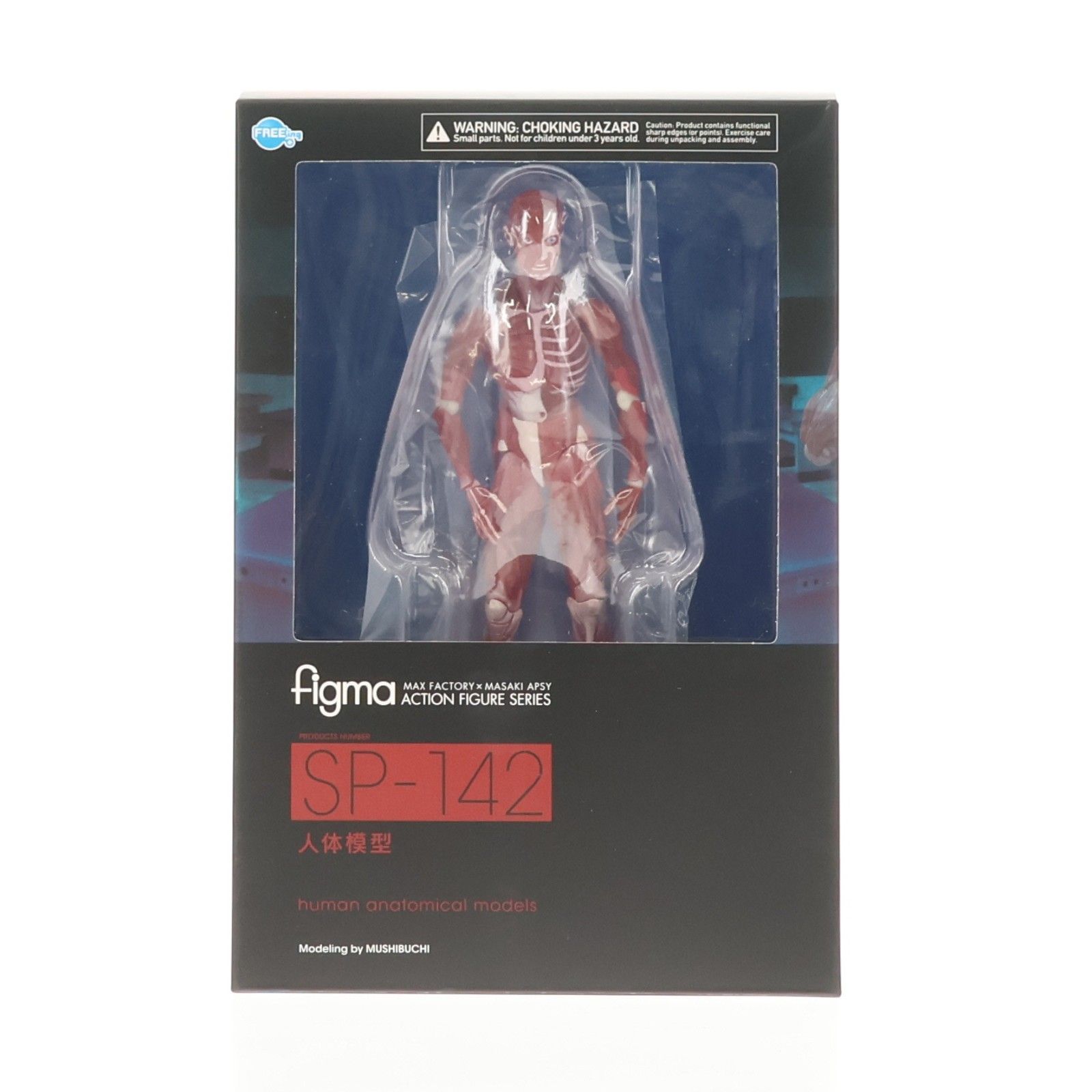 figma テーブル美術館 SP-142「人体模型」　未開封品 FIG]figma(フィグマ) SP-142 人体模型(じんたいもけい) 完成品 可動