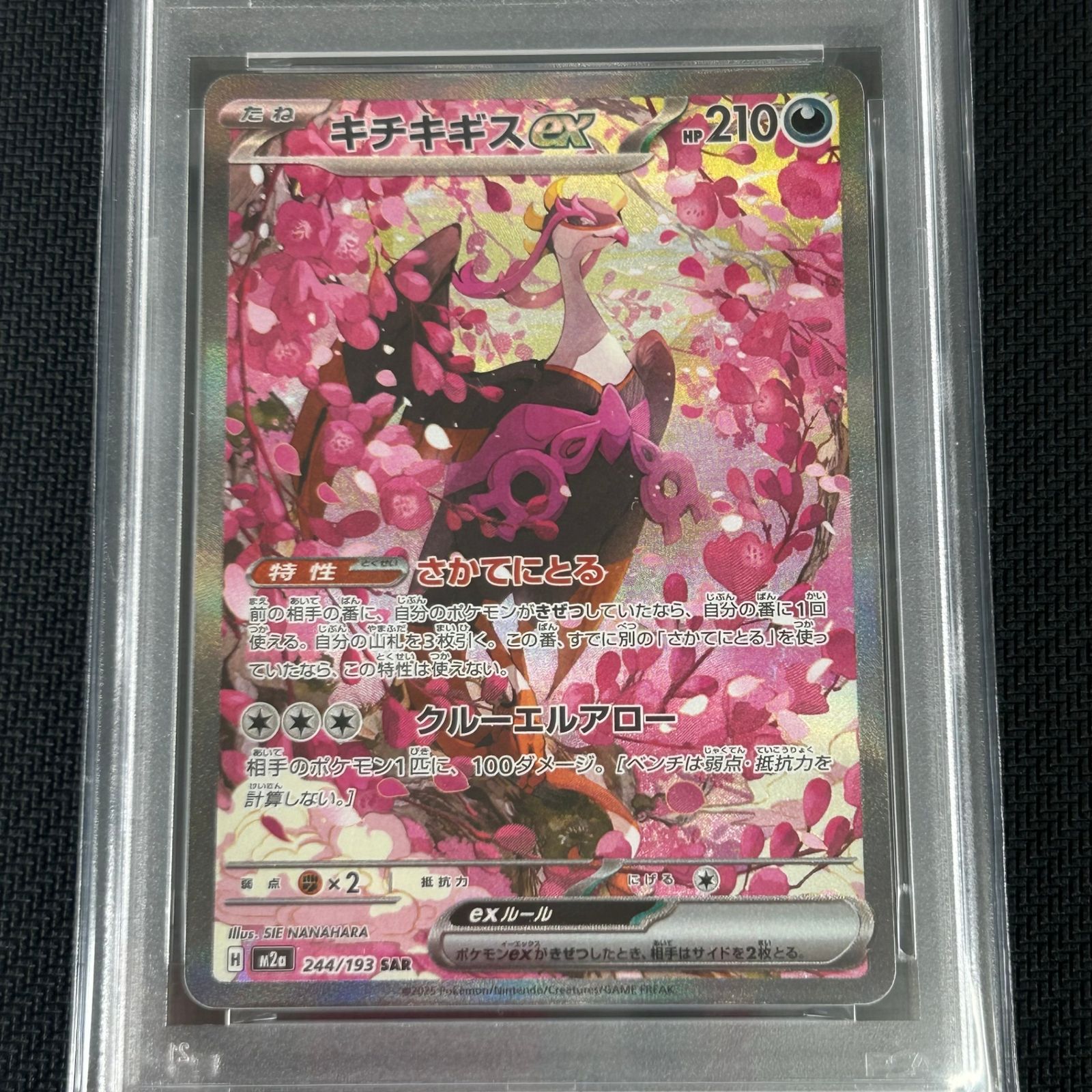PSA10 ポケカ キチキギスex SAR 244/193 MEGAドリームex - メルカリ