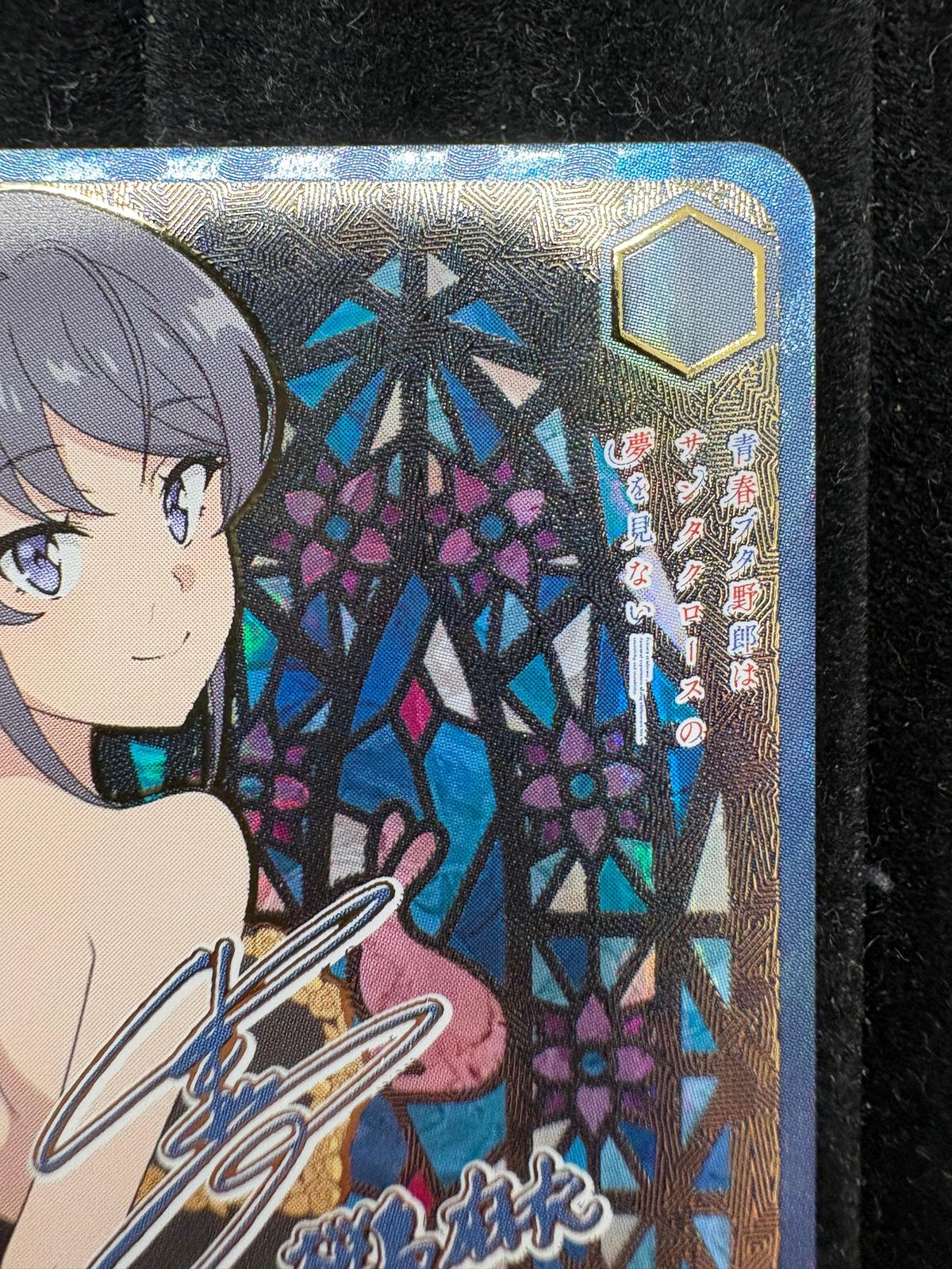 ヴァイスシュヴァルツ 青春ブタ野郎シリーズ 国民的人気女優 桜島麻衣