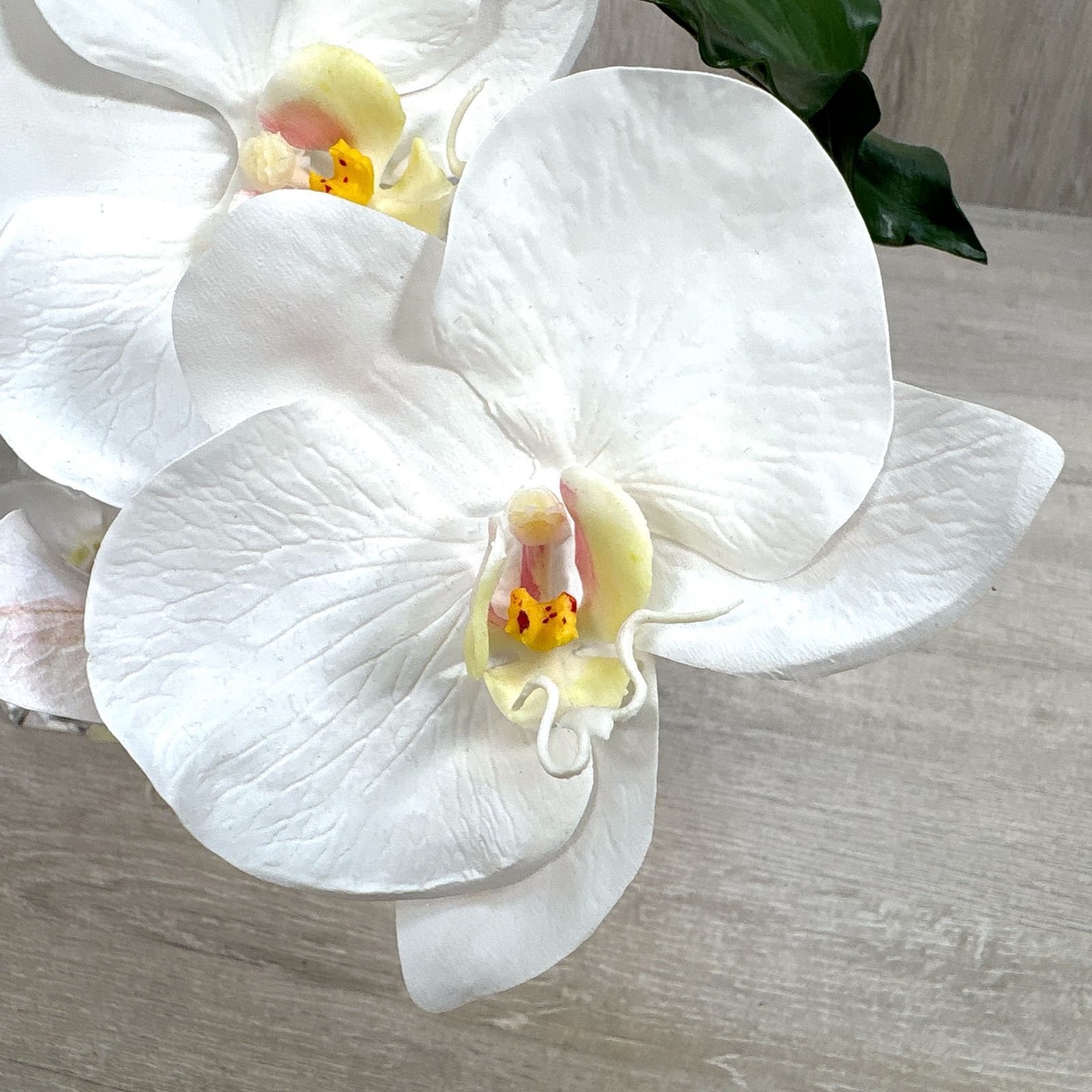 EMILIO ROBBA エミリオロバ PHALAENOPSIS ファレノプシス 胡蝶蘭 造花