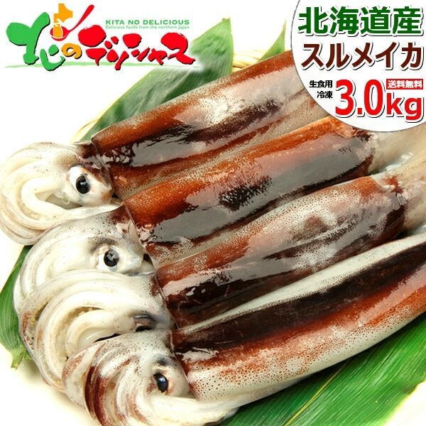 北海道産 スルメイカ 3kg (生食用/8～10杯入り/陸冷品) 国産 真いか 真イカ いか イカ 烏賊 するめいか お刺身 塩辛 ご自宅用 ご家庭用 お家用 お得 お買い得 北海道 北海道直送 グルメ お取り寄せ
