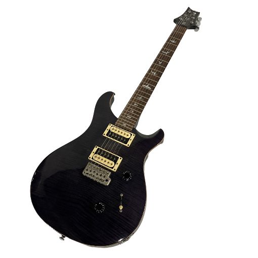 PRS ポールリードスミス PRS SE Custom 24 エレキギター 中古 B11318250