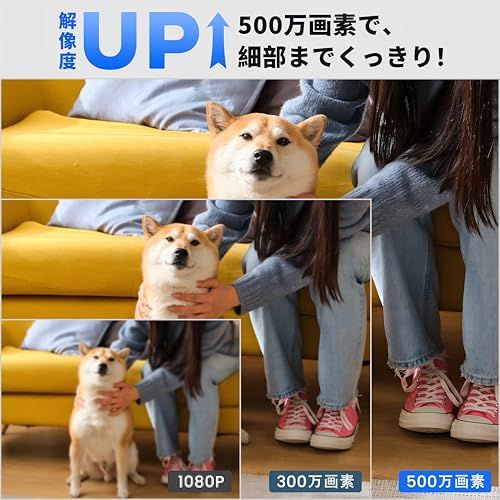 Wansview【500万画素・5GWi-Fi対応】新Q5モデルネットワークカメラ 室内防犯 自動追尾 ワイヤレス監視 AI検知 ベビーモニター 360度ベビー老人ペット見守り 常時録画 動体検知 双方向音声 暗視撮影 Alexa対応 アプリ無料 2年品質保証 Wansview【500万画素・5GWi-Fi対応】新Q5モデルネットワークカメラ 室内防犯 自動追尾 ワイヤレス監視 AI検知 ベビーモニター 360度ベビー老人ペット見守り 常時録画 動体検知 双方向音声 暗視撮影 Alexa対応 アプリ無料 2年品質保証