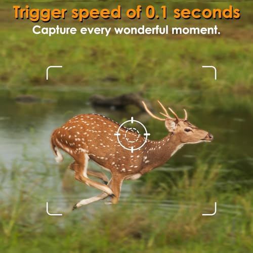 Blazevideo トレイルカメラ 1296P 人感センサー 防犯カメラ 野生動物監視カメラ 暗視カメラ 120°撮影範囲 6400万画素 最大512GBカード対応 IP66防水防塵 PIRセンサー 駐車/屋外/野生動物監視 動体検知 自動上書き 夜間対応