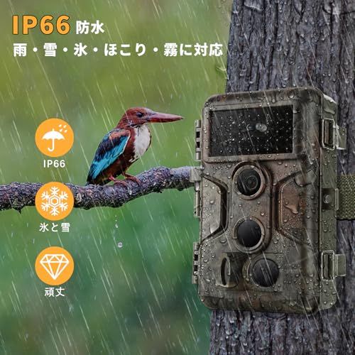 AGITATO トレイルカメラ 1296P 人感センサー 6400万画素 防犯カメラ 野生動物監視カメラ 暗視最大30m 120°撮影範囲 0.1sトリガー IP66防水防塵 PIRセンサー 夜間不可視赤外線LED搭載 電池式 野外用 屋外駐車場適用 自動上書 AGITATO トレイルカメラ 1296P 人感センサー 6400万画素 防犯カメラ 野生動物監視カメラ 暗視最大30m 120°撮影範囲 0.1sトリガー IP66防水防塵 PIRセンサー 夜間不可視赤外線LED搭載 電池式 野外用 屋外駐車場適用 自動上書