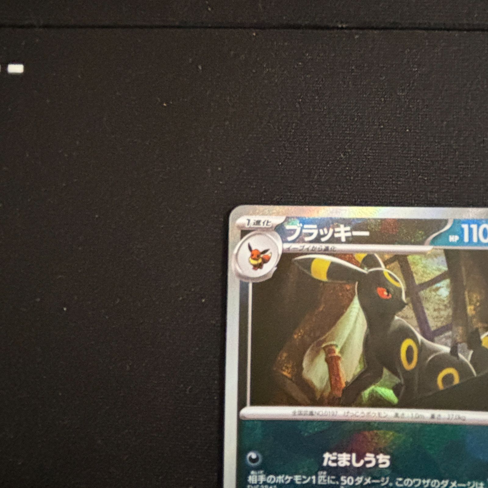 s2 ポケモンカード 2枚 ブラッキーテラスタルフェスミラーセット