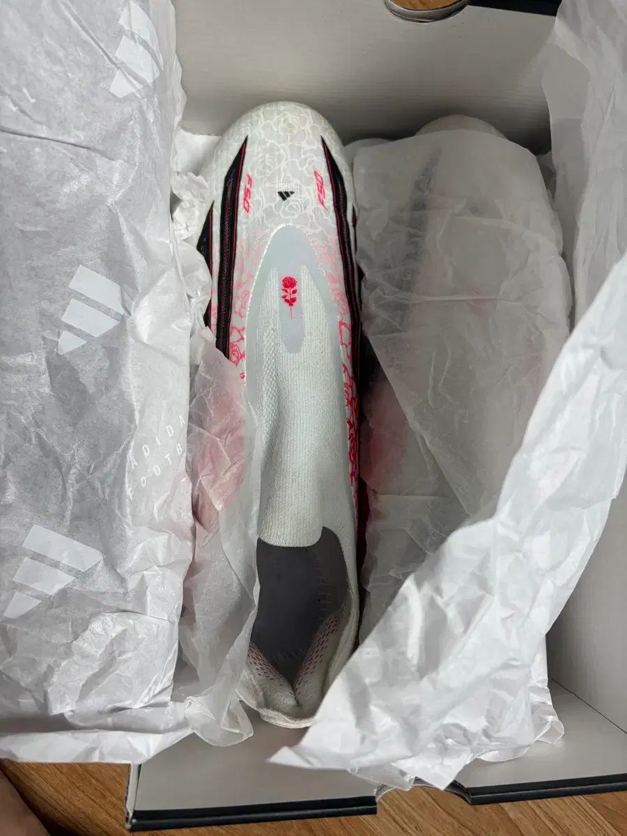 LY F50 fg 275