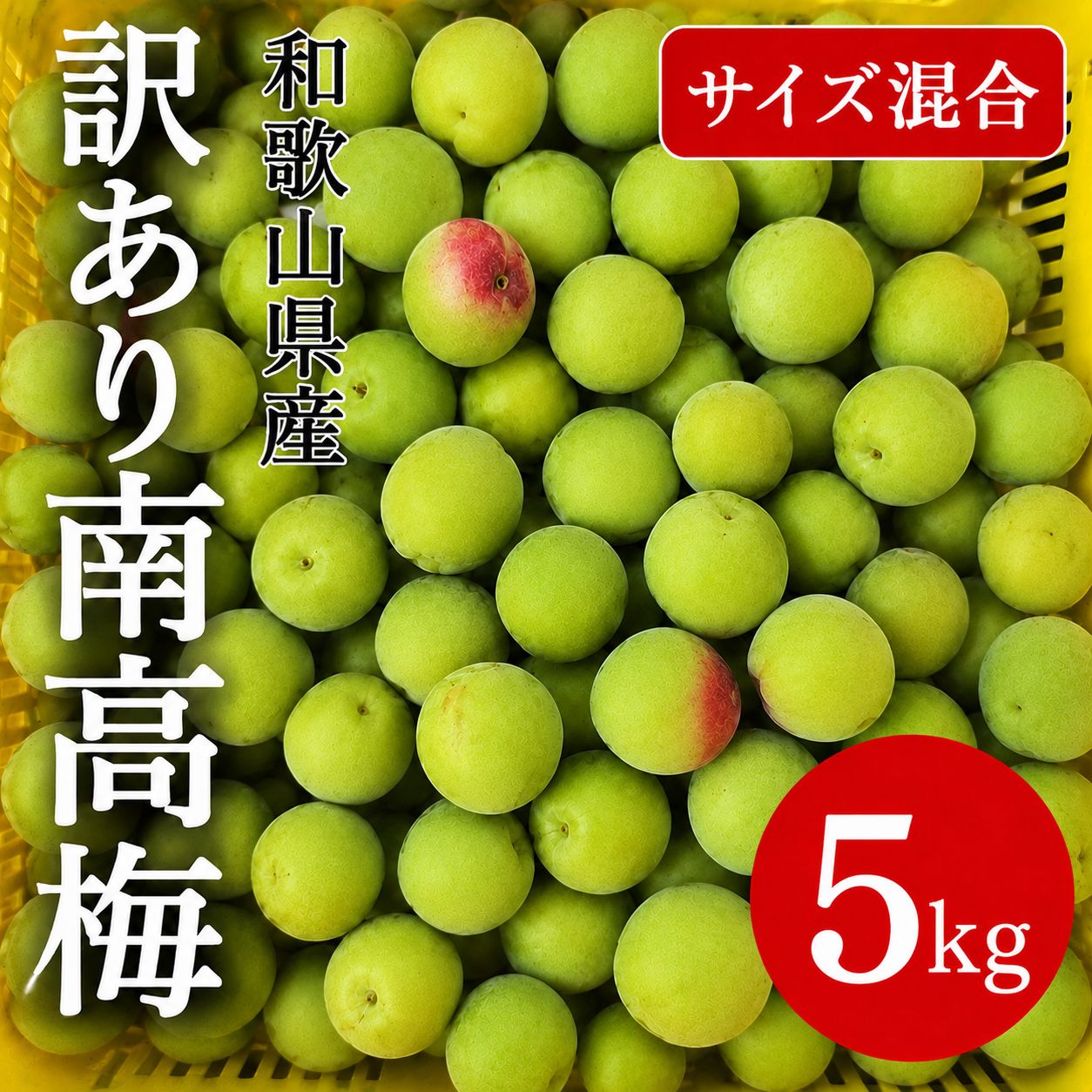紀州南高梅　青梅　規格外品（訳あり）　サイズ混合　10kg　送料込み 訳あり】紀州南高梅 青梅 5kg 家庭用梅仕事 - メルカリ