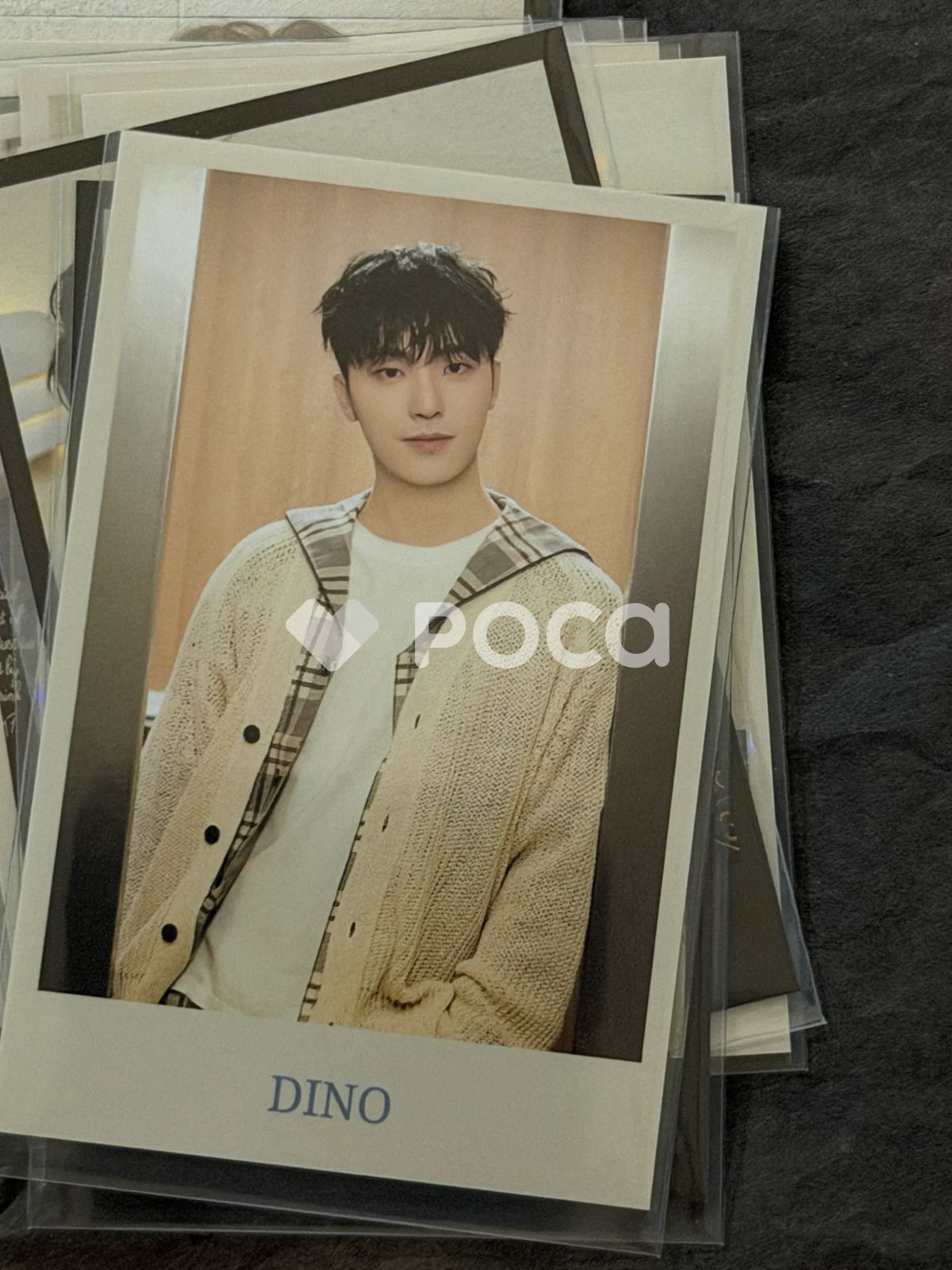 Seventeen ディノ セブチ 2024 SVT 8TH FAN MEETING SEVENTEEN in