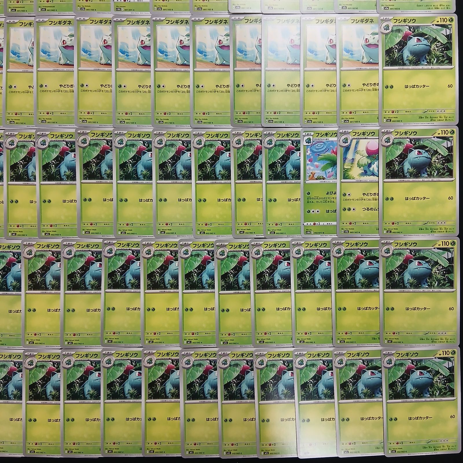 3699 フシギダネ ブシギソウ フシギバナ 784枚 パーツ 大量 まとめ売り 3699 フシギダネ ブシギソウ フシギバナ 784枚 パーツ 大量 まとめ売り