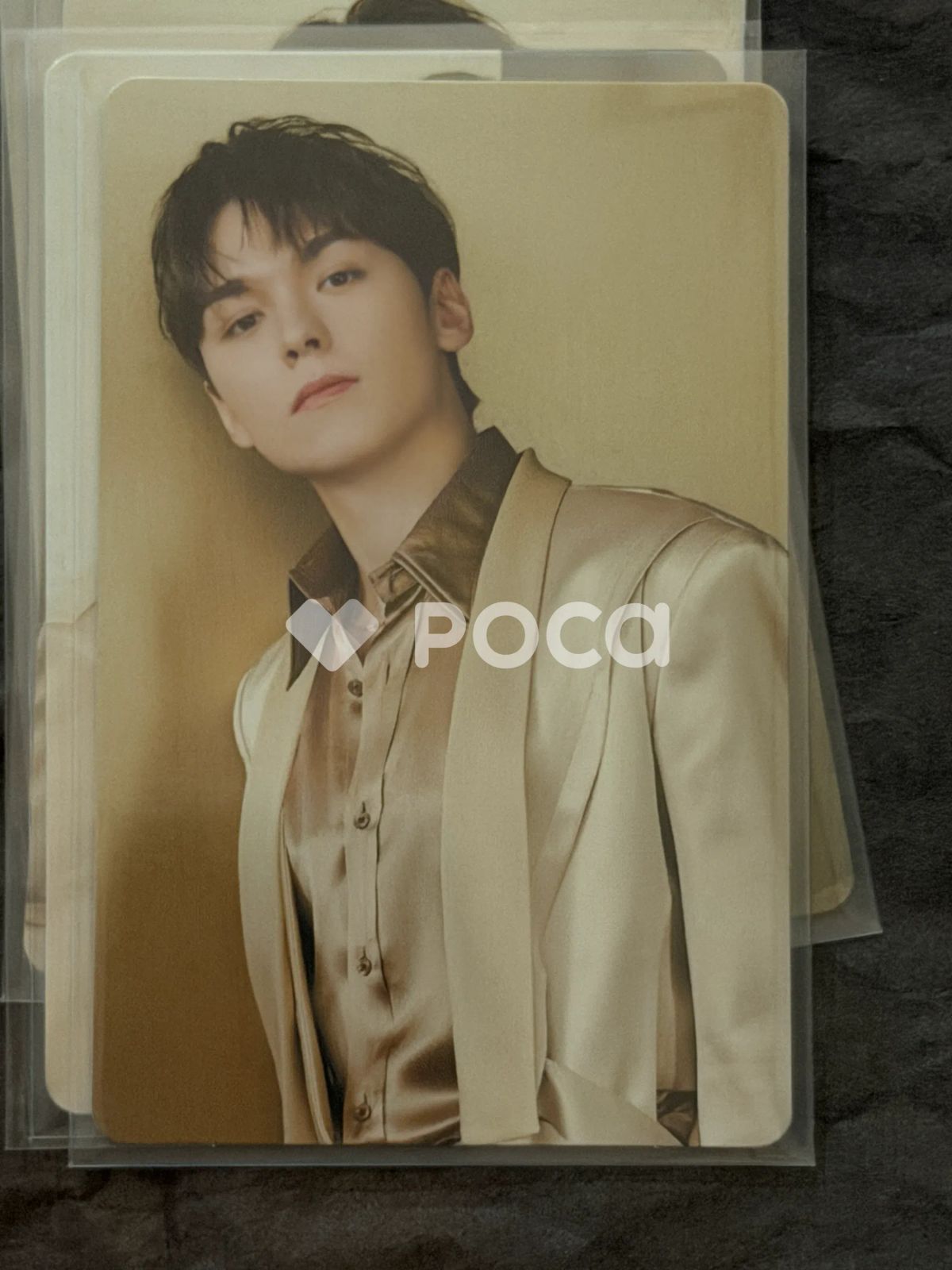 Seventeen バーノン セブチ SEVENTEEN RIGHT HERE WORLD TOUR Trading
