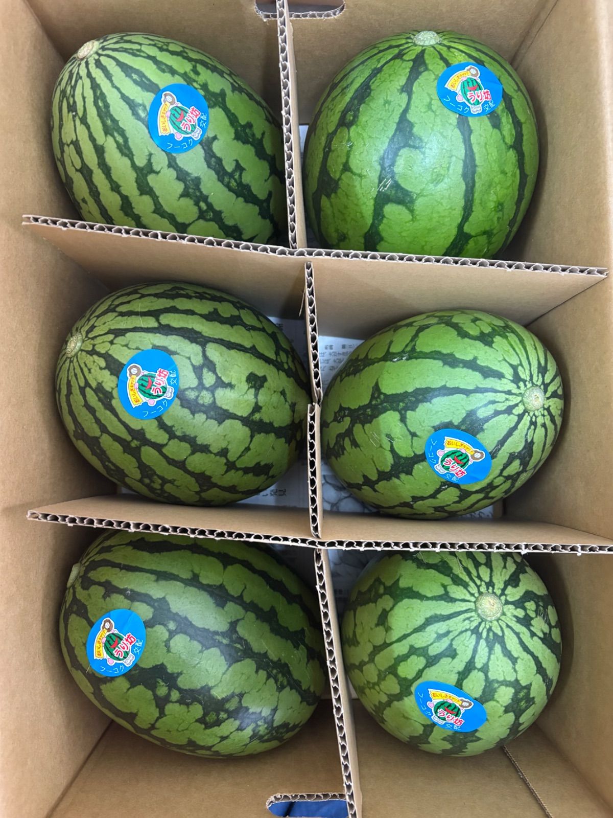 産地直送!優‼️小玉スイカうりぼう6玉箱込10キロ前後！北海道東北各県