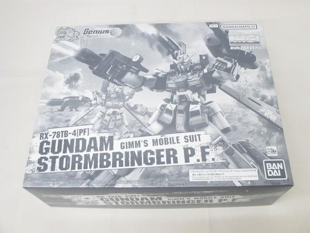 未組立 プラモデル MG 1/100 ガンダムストームブリンガー P.F.