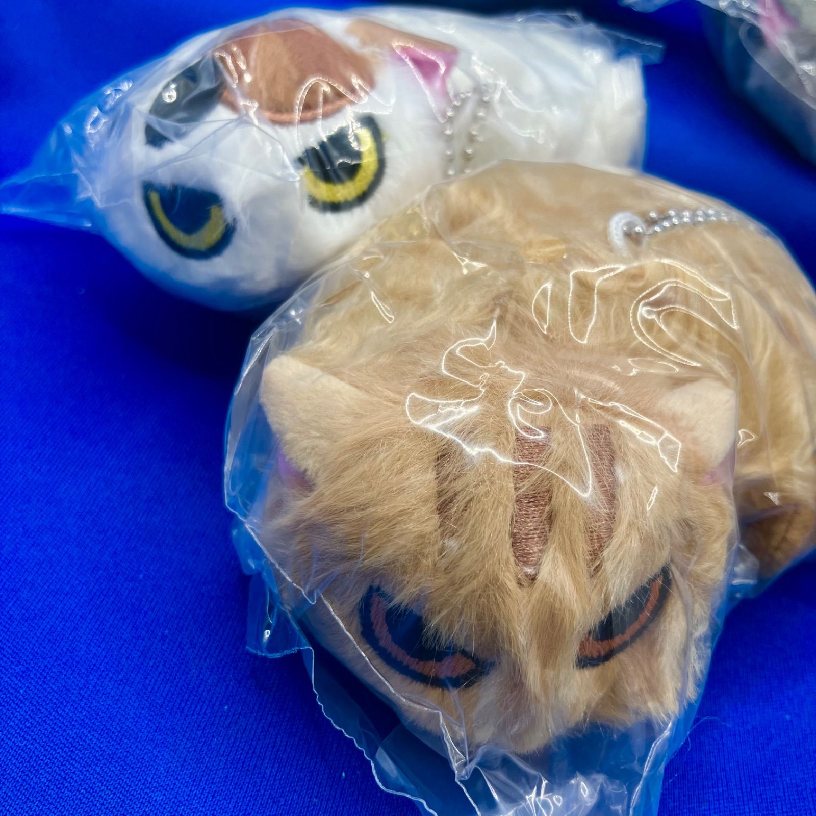なつかない猫 ぬいぐるみ2 全5種 コンプリート ガチャ ねこ クオリア