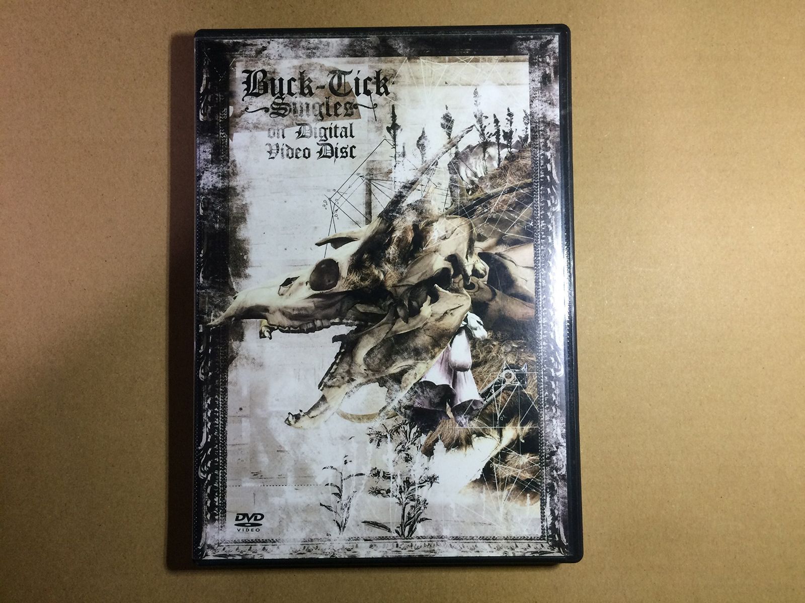 DVD BUCK-TICK SINGLES on Digital Video Disc(通常盤) [DVD]